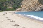 The beach in a land for villa development in Skiathos island