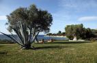 LUXURIOUS BEACHFRONT VILLA FOR RENT SITHONIA HALKIDIKI