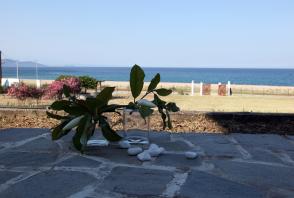 Stand alone beachfront villa 